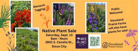 Fall Native Plant Sale & Monarch Tagging - Public Welcome!, 2801 S ...