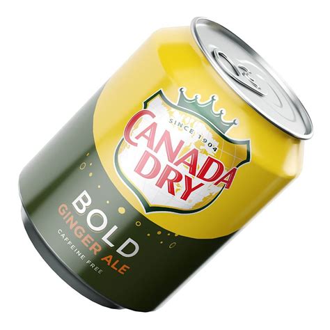 Canada Dry Bold Ginger Ale Can 250ml - 3D Model by murtazaboyraz