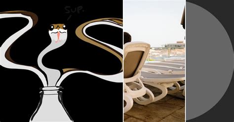 Image result for Alex Python