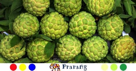 सीताफल की खुशबू, किसानों की उम्मीद और मेरठ की बदलती पहचान