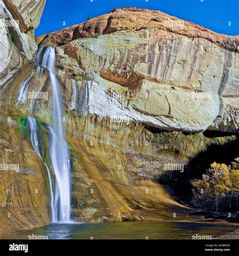 lower calf creek falls in autumn near escalante, utah Stock Photo - Alamy