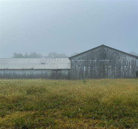 Alexis Jade (@alexis_jadephoto_) • Instagram photos and videos