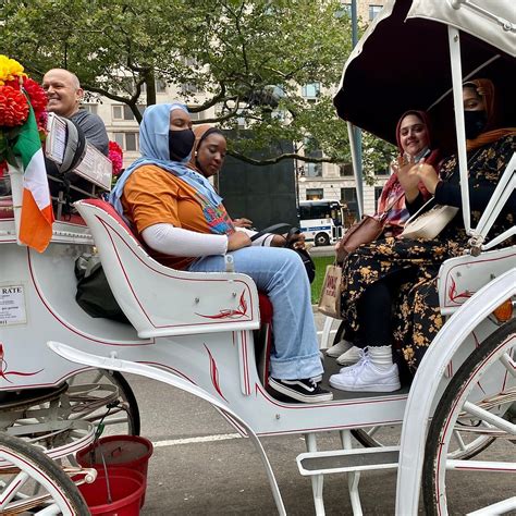 NYC CENTRAL PARK HORSE CARRIAGE RIDES (2026) All You Need to Know ...