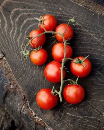 WILLVINE VVI-939 Large Red Cherry Tomato Seeds Seed Price in India ...