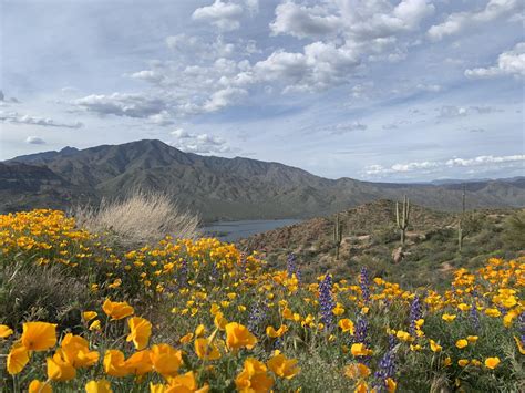 Arizona National Forest Campgrounds: Find Your Perfect Spot