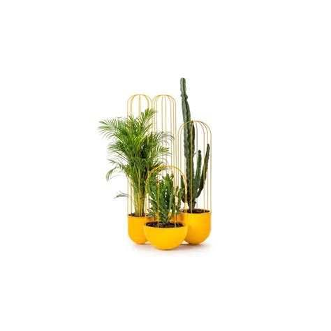 BIM objects - Free download! Cacti planter | BIMobject