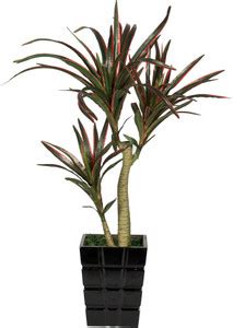 PolliNation Red Yucca Artificial Plant Price in India - Buy PolliNation ...