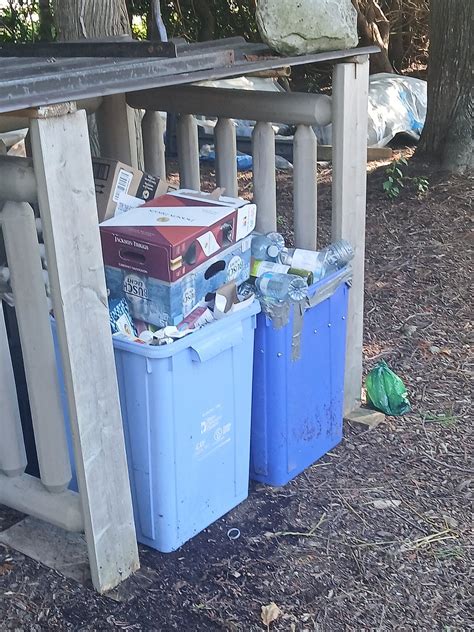 Buddha Bing Cottage and Cabins - UPDATED Prices, Reviews & Photos