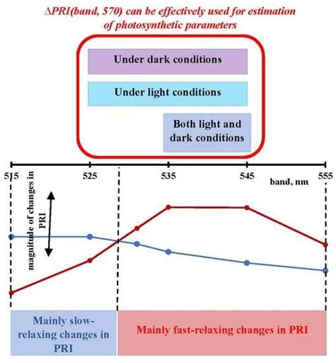 Relation of Photochemical Reflectance Indices Based on Different ...