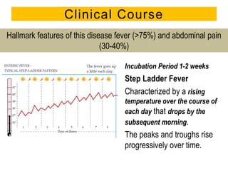 Step Ladder Fever 的图像结果