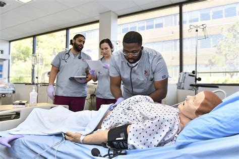 Bsn Nursing Programs