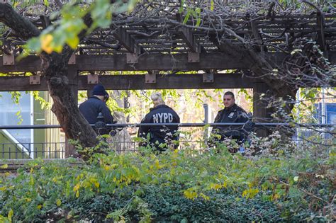 Man hangs himself in popular Central Park spot