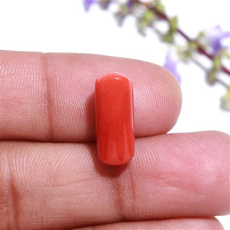 Buy Red Coral Natural Gemstone Capsule Shaped Loose Coral, Red Coral ...