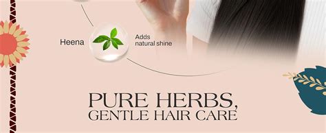 Buy Ashpveda Japapatti & Brahmi Ayurvedic Hair Wash Shampoo for Dry ...