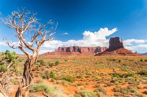Scenic Drive in Monument Valley • Offroad » outdooractive.com