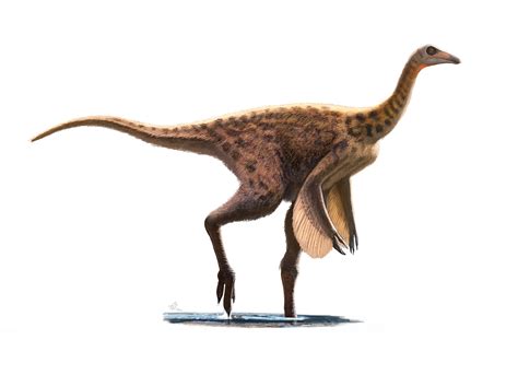 Species New to Science: [Paleontology • 2016] Rativates evadens • A New Ornithomimid Theropod ...