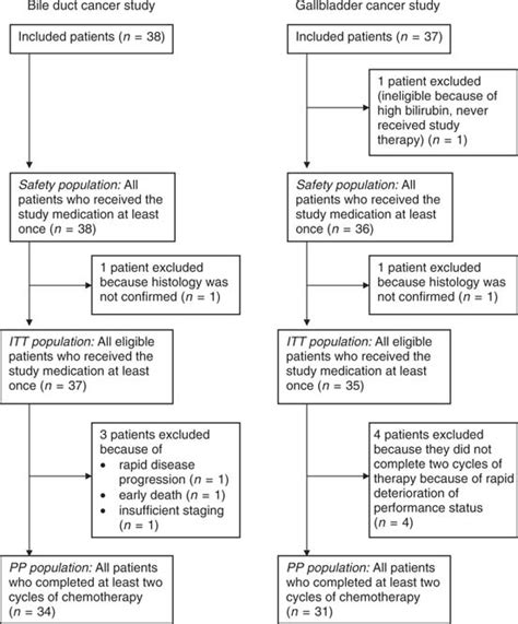 Image result for Powerflow Patient Guide