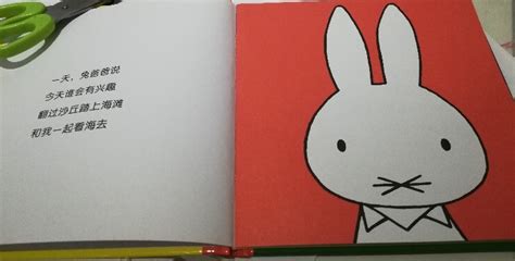 米菲绘本系列(10册) - 中文绘本 欧洲 国外 童书