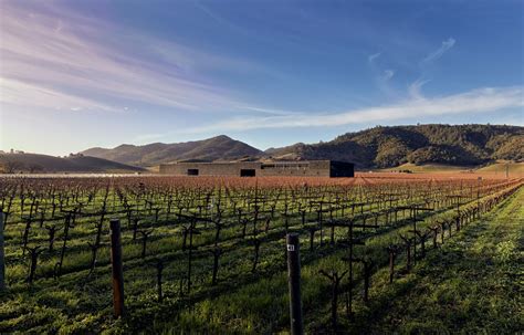 Dominus Estate Doubles Vineyard Area in Napa Valley | wein.plus Wine News