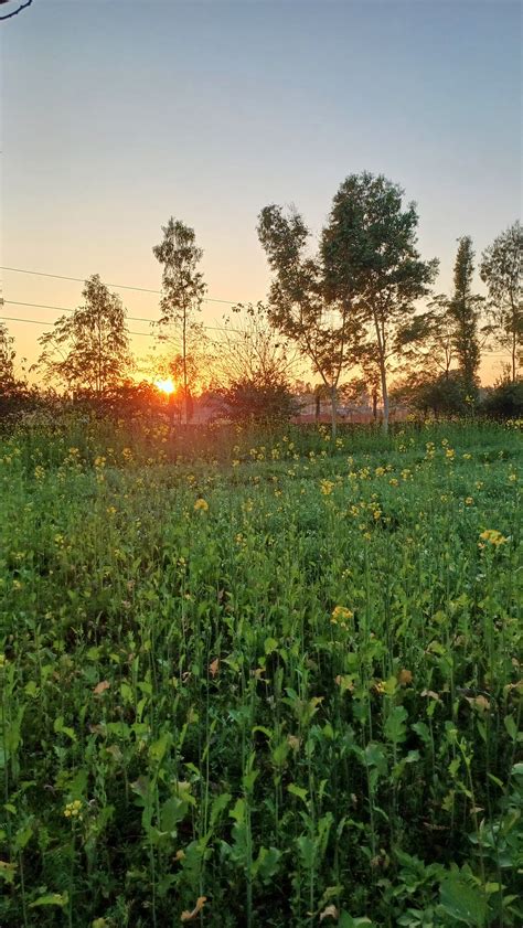 EARTH HOME (Pilibhit) - Cottage Reviews & Photos - Tripadvisor