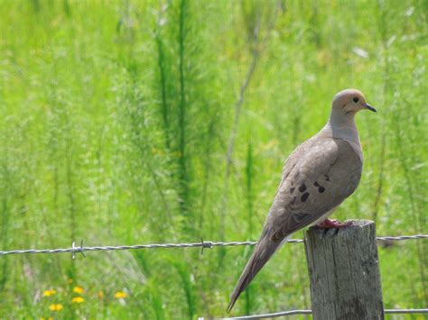 Home | Hardee County Property Appraiser