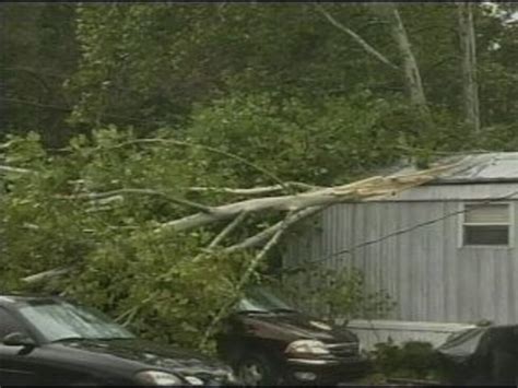 Severe storms topple trees, damage homes across North Alabama