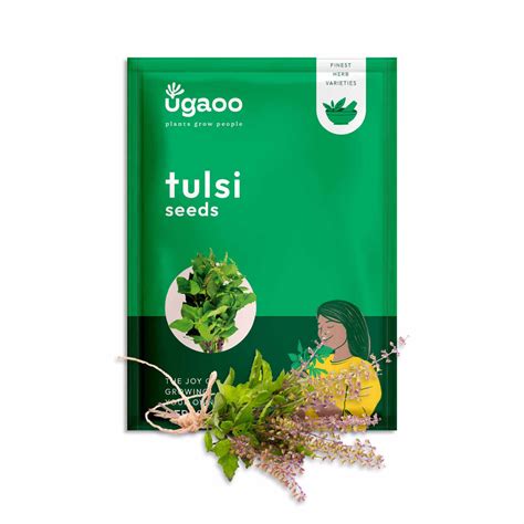 Buy Premium Herb Seeds Online in India- Grow Fresh Herbs at Home – Ugaoo