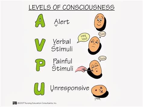 Levels Of Consciousness Tbi at Jason Aspinall blog