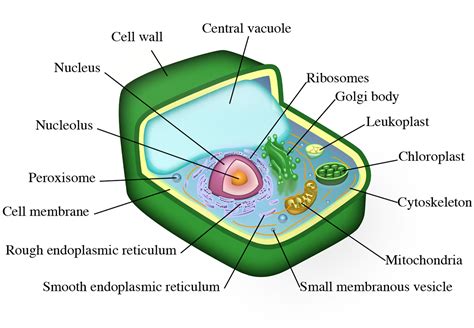 Scientific Paper Vector 的图像结果
