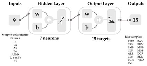 Computer Vision and Machine Learning Analysis of Commercial Rice Grains ...