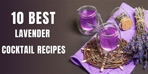 10 Best Lavender Cocktail Recipes for Your Cocktail & Beverages ...