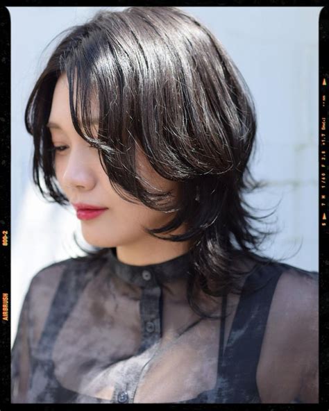 Wolf Cut Hair | Unique hair cuts, Cut my hair, Hair cuts