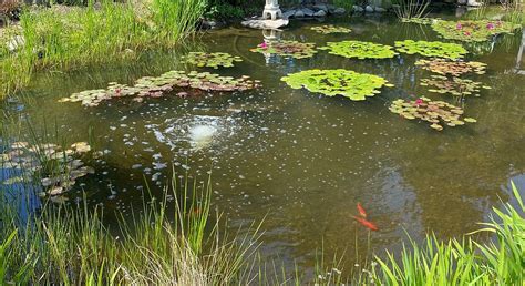 TROCHU ARBORETUM & GARDENS - All You Need to Know BEFORE You Go 2026 ...