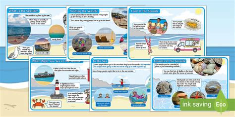 EYFS All About the Seaside Fact Files | Twinkl - Twinkl