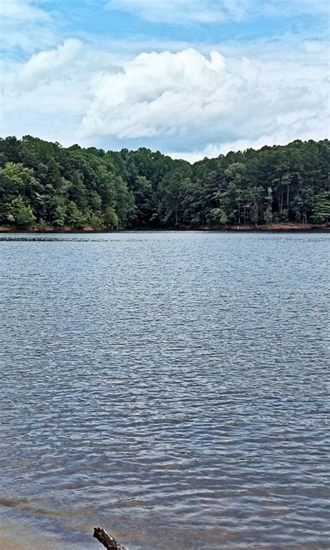 Download wallpaper North Carolina, Lake, Raleigh, Falls Lake, section ...