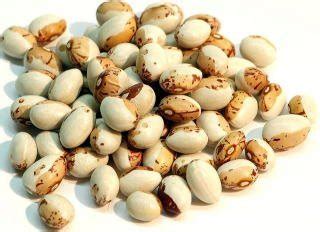 Buy Hokkaido Toramame 1kg Toramame kidney bean tiger beans Uzura Namame ...