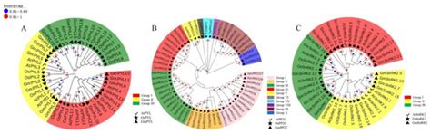 Plants | Special Issue : Plant Molecular Phylogenetics and Evolutionary ...