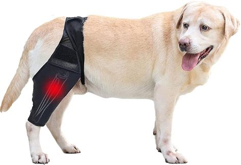 Dog Knee Brace,dog Leg Brace Hip Support Brace For Cruciate Ligament Injuries, Ccl, Patella ...