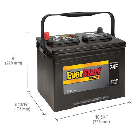 Buy EverStart Maxx Lead Acid Automotive Battery, Group Size 24F Online ...