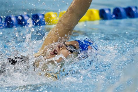 Florida Gators Swimming 的图像结果