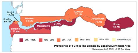 The Impact of Circular Migration on FGM/C: Transnational Communities in ...