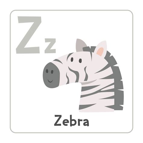Zebra clipart. Zebra vector illustration cartoon flat style. Animals ...