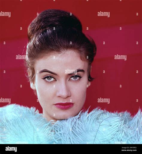 Marisa Mell, österreichische Schauspielerin, Deutschland um 1964 Stock ...
