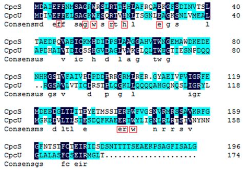 Molecular Cloning of cpcU and Heterodimeric Bilin Lyase Activity ...