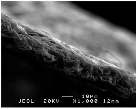 Anti-Adhesive Effect of Porous Polylactide Film in Rats