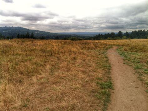 Powell Butte Nature Park Photos