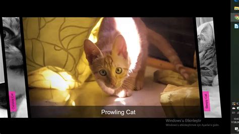 CSS Galleries - Accordion Gallery Zoom Animation example : CSS Mix