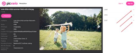 Edit File Metadata 的图像结果