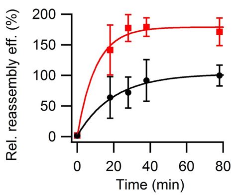 Electrostatic Screening, Acidic pH and Macromolecular Crowding Increase ...