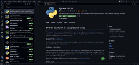 JavaScript in Java Vscode 的图像结果